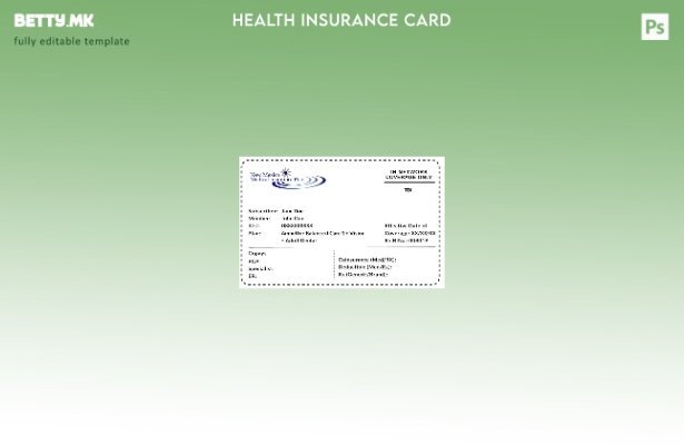 Модерен стил Шаблон за здравствено осигурување во Ново Мексико